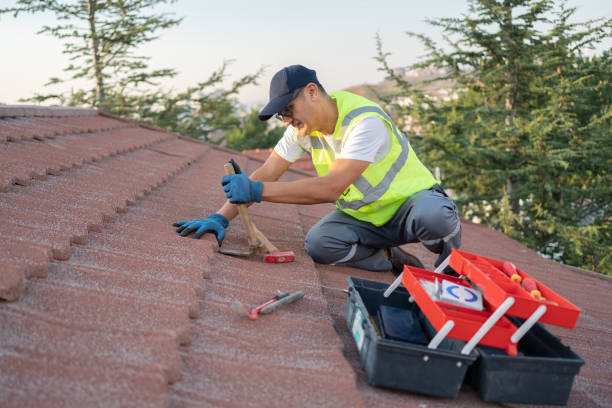 Best Metal Roofing Contractor  in Salem, VA